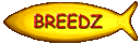 CatBreedz.gif (3475 bytes)
