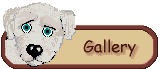 dog_gallery.gif (2264 bytes)